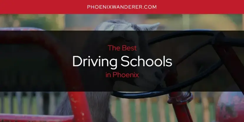 The Absolute Best Driving Schools in Phoenix  [Updated 2024]
