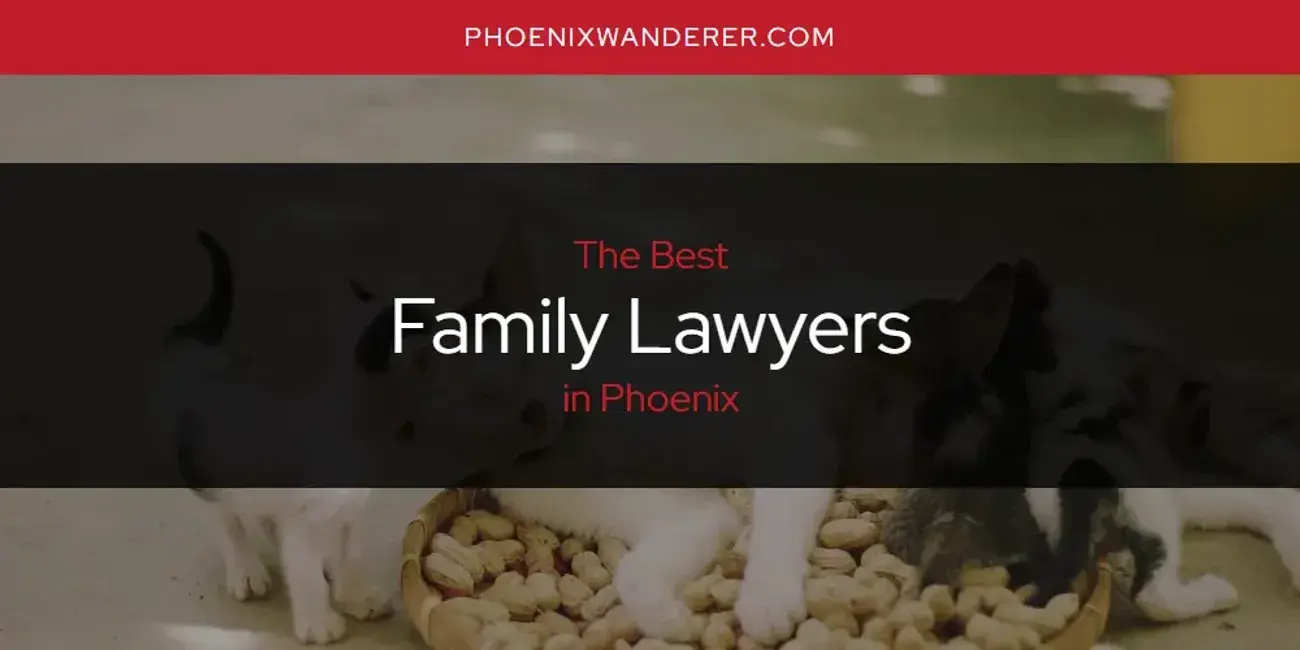The Absolute Best Family Lawyers in Phoenix  [Updated 2024]