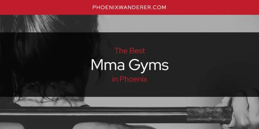 Phoenix's Best Mma Gyms [Updated 2024]