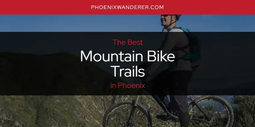 Phoenix's Best Mountain Bike Trails [Updated 2024]