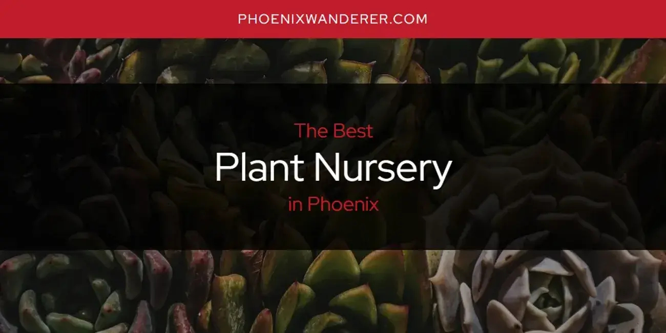 Phoenix's Best Plant Nursery [Updated 2024]