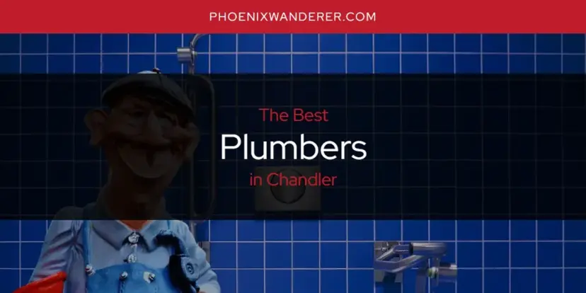 Chandler's Best Plumbers [Updated 2024]