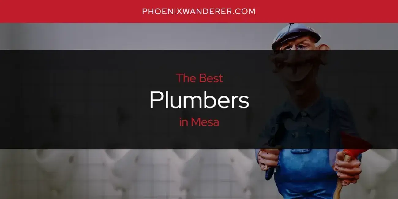 Mesa's Best Plumbers [Updated 2024]