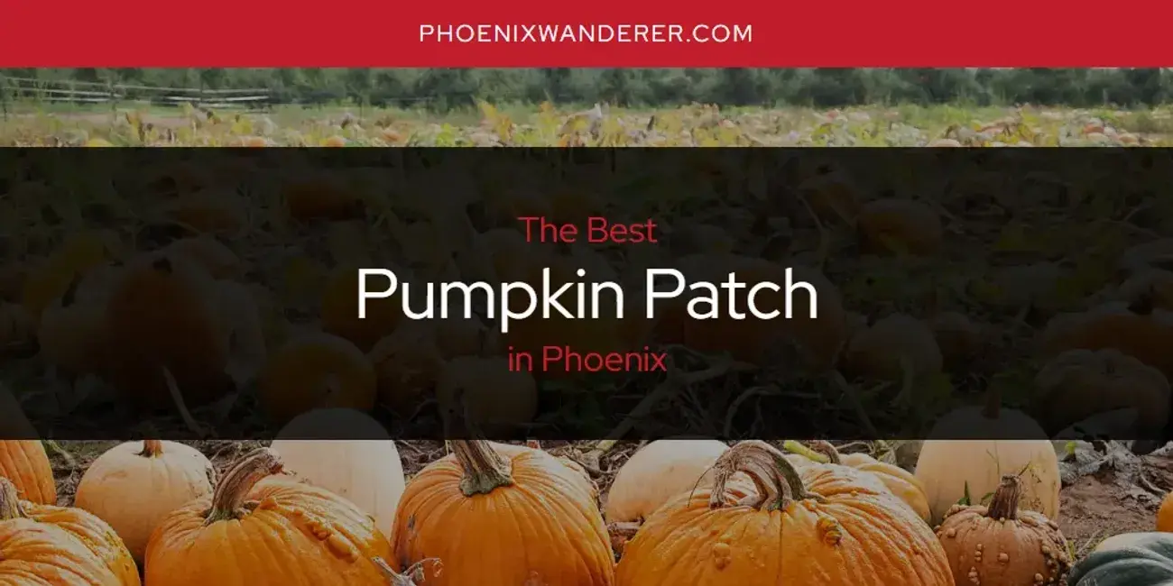 Phoenix's Best Pumpkin Patch [Updated 2024]