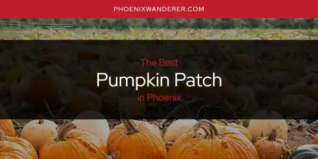 Phoenix's Best Pumpkin Patch [Updated 2024]