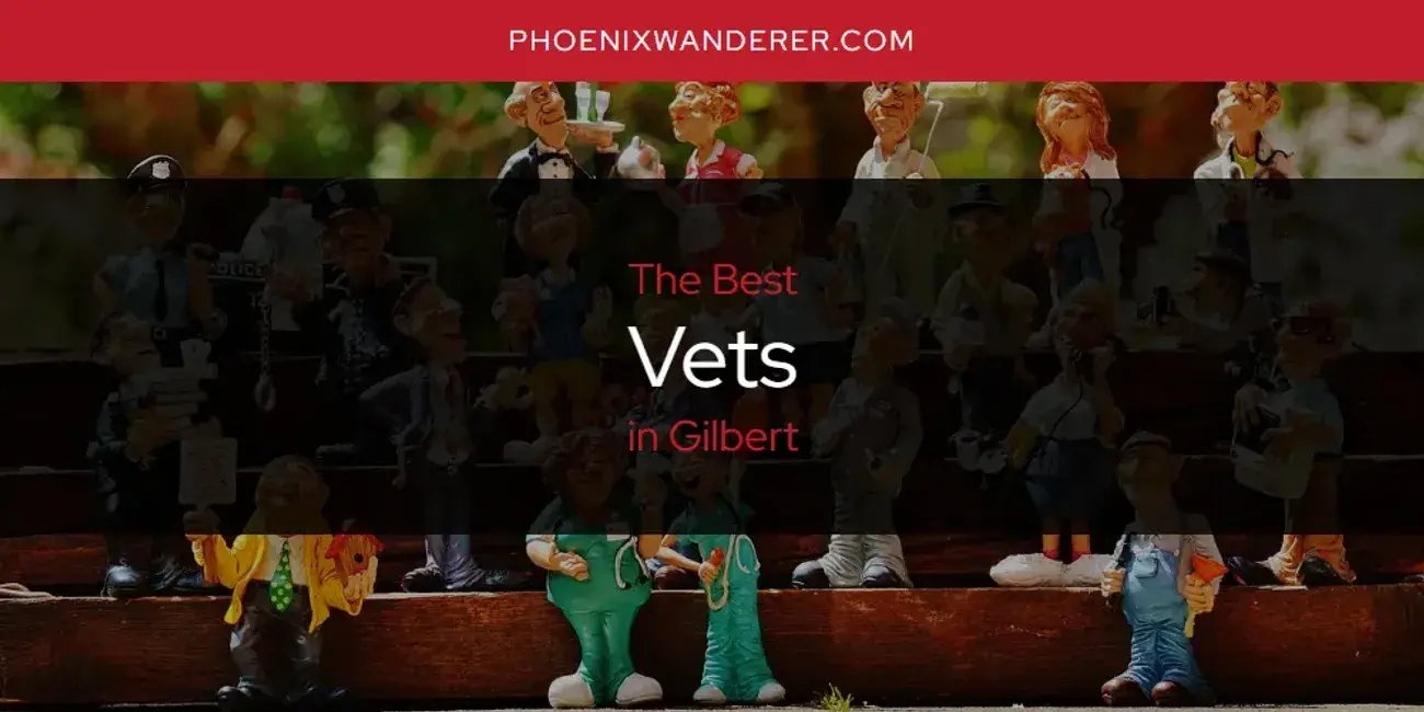 Gilbert's Best Vets [Updated 2024]