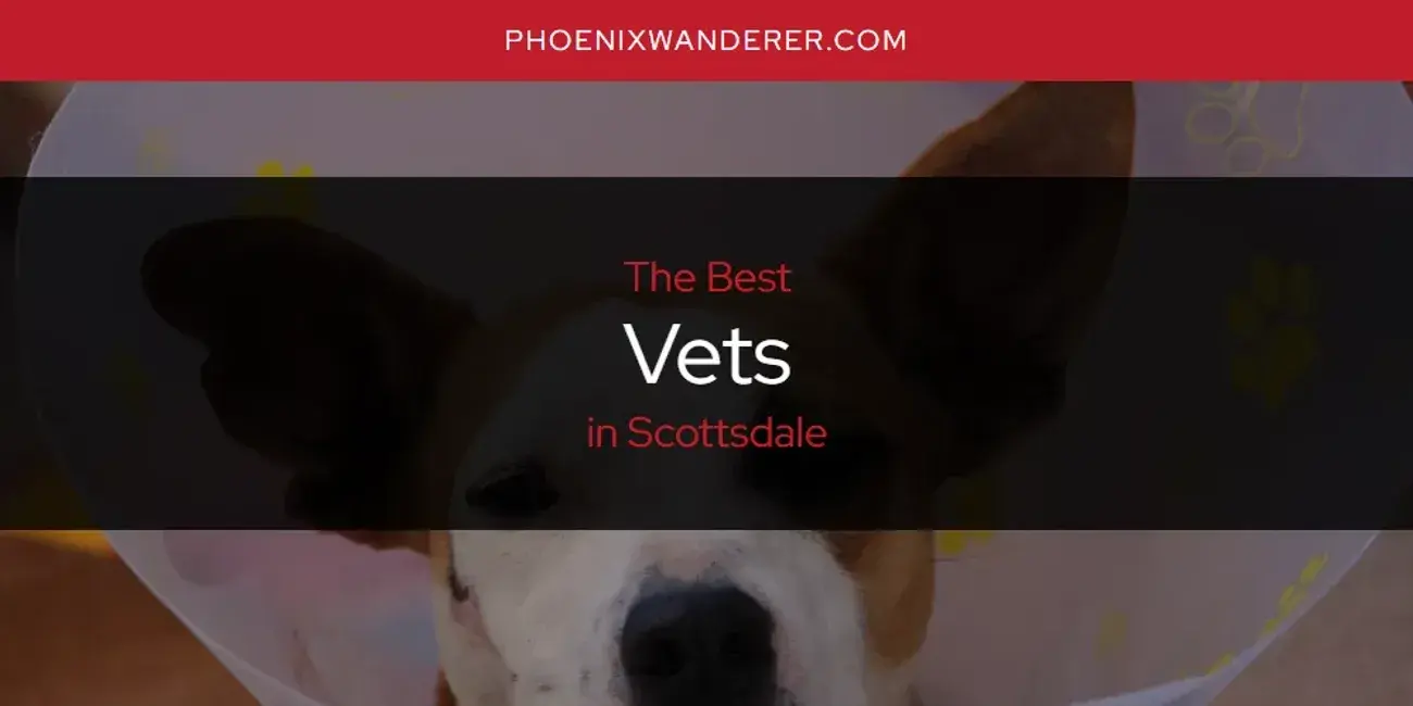 Scottsdale's Best Vets [Updated 2024]