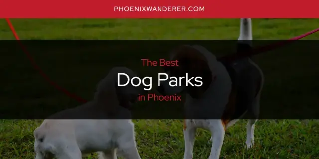 The Absolute Best Dog Parks in Phoenix  [Updated 2024]