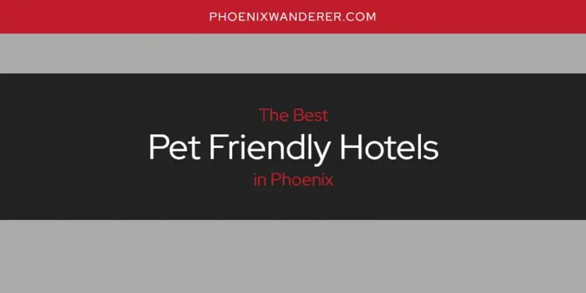 Phoenix's Best Pet Friendly Hotels [Updated 2024]