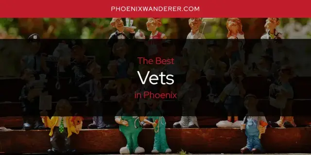 Phoenix's Best Vets [Updated 2024]