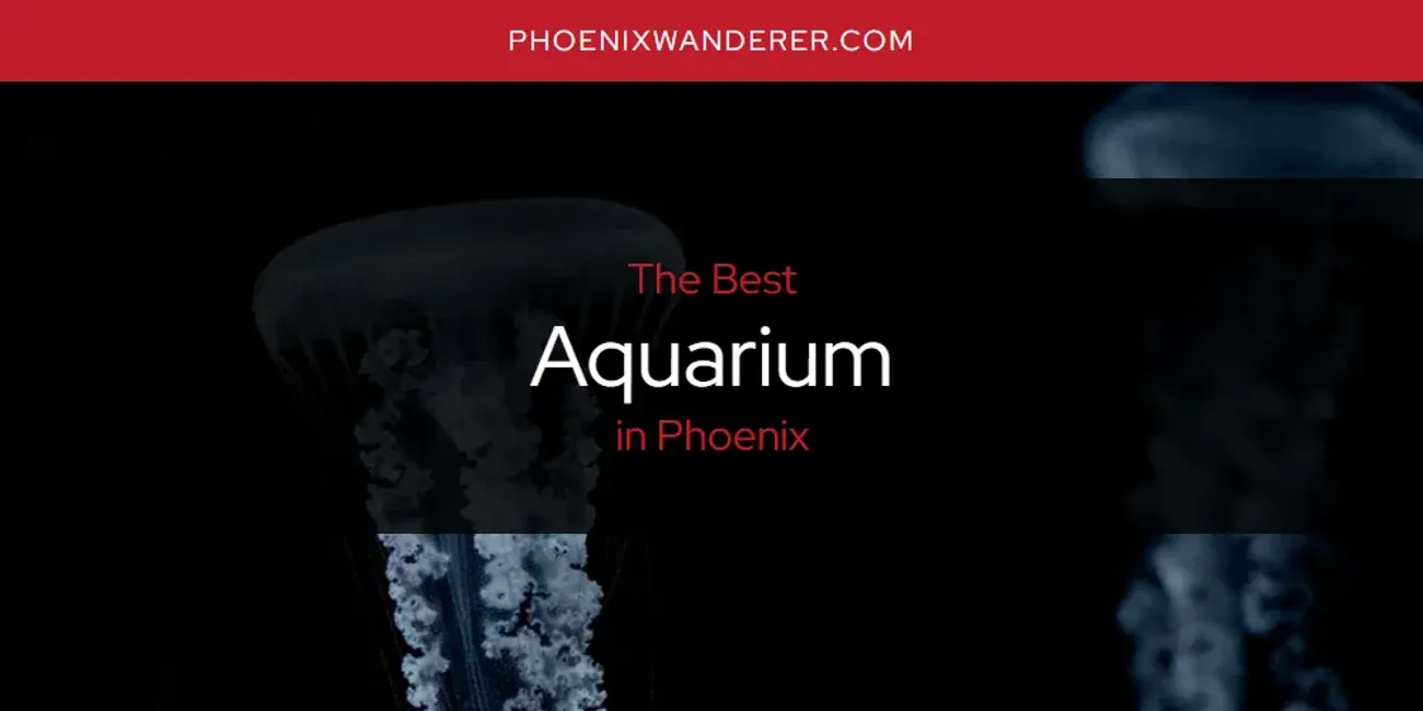 Phoenix's Best Aquarium [Updated 2025]