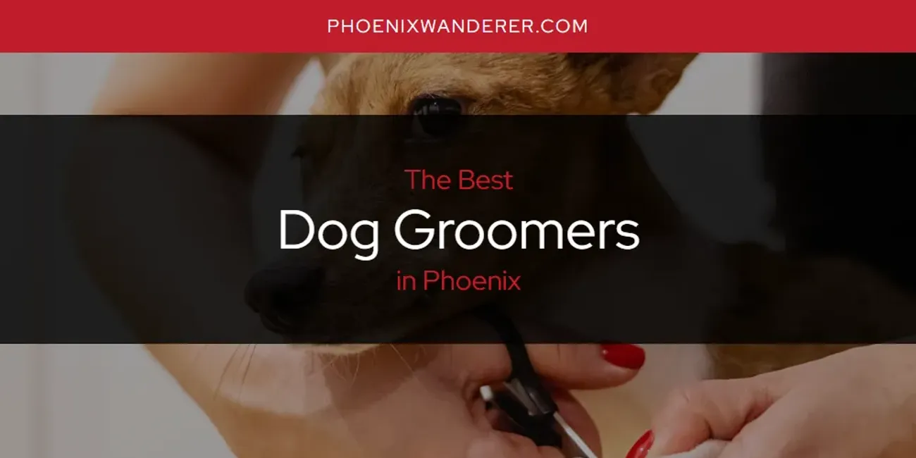 Phoenix's Best Dog Groomers [Updated 2025]