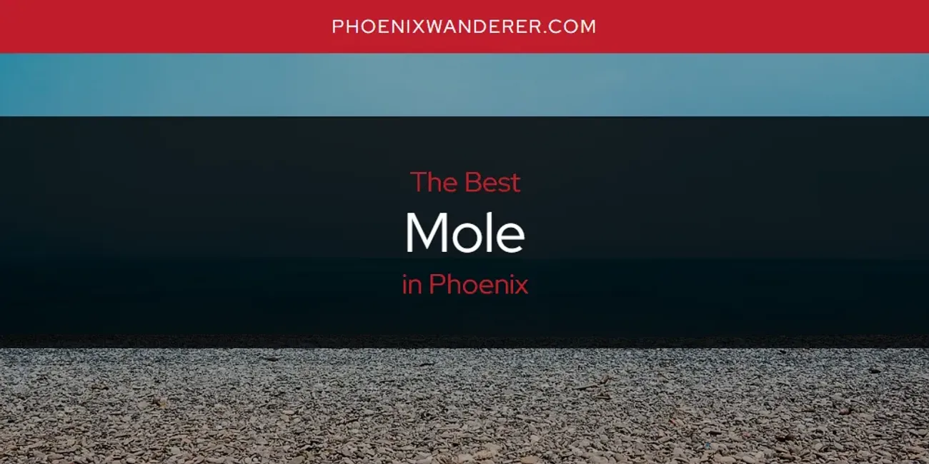 Phoenix's Best Mole [Updated 2025]