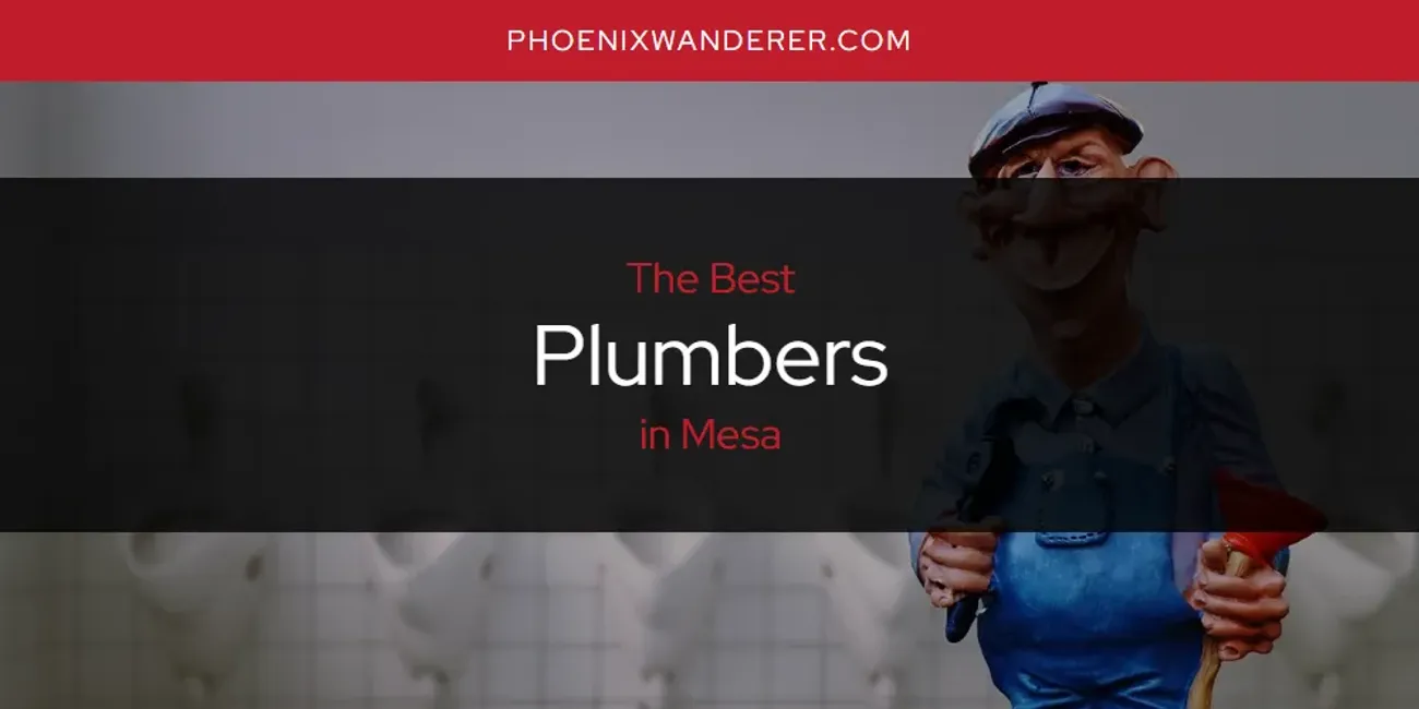 Mesa's Best Plumbers [Updated 2025]