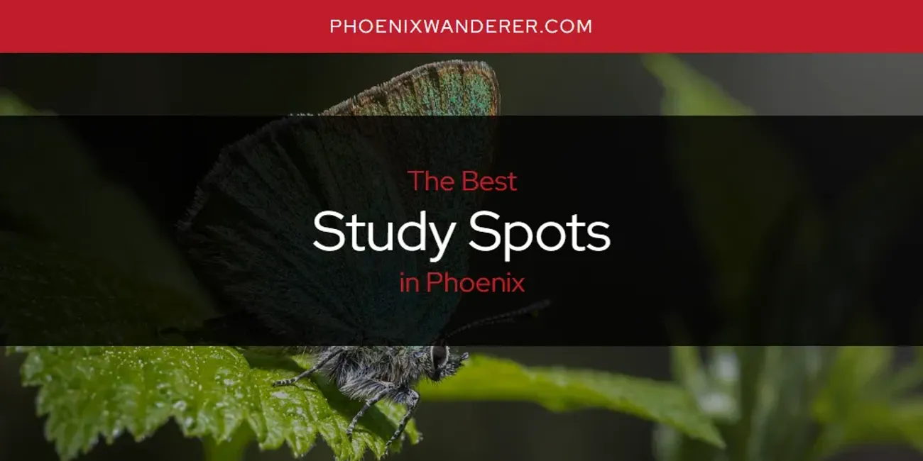Phoenix's Best Study Spots [Updated 2025]